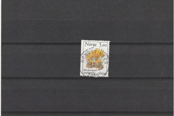 NK 1061 - Kongsvinger