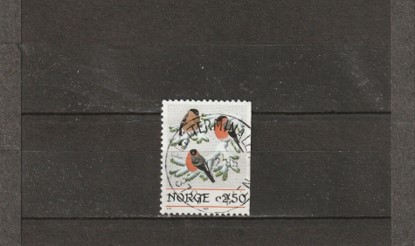 NK   987 - Postterminalen Skien